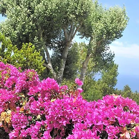 Sweetposeidon 3* Forio di Ischia