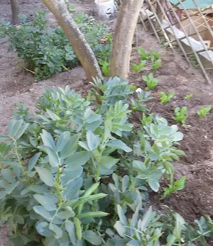 Szálloda Sweetposeidon 3*